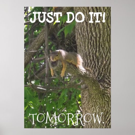 DOE HET ALLEMAAL, TOMORROW, grappig lui eekhoorntj Poster (Voorkant)
