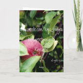 Doe het goed met Apple Kaart (Achterkant)