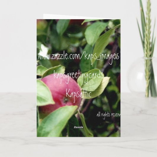 Doe het goed met Apple Kaart (Achterkant)