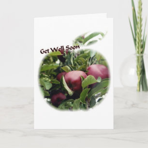 Doe het goed met Apple Kaart