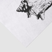 Doe-het-zelf strandthema met kleuren - Conch schel Tissuepapier (Detail)