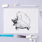 Doe-het-zelf strandthema met kleuren - Conch schel Tissuepapier (Craft)