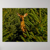 Doe in het Poster Pine Trees (Voorkant)