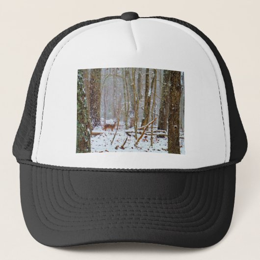 Doe in the snow, Deer in Lake Arrowhead Trucker Pet (Voorkant)