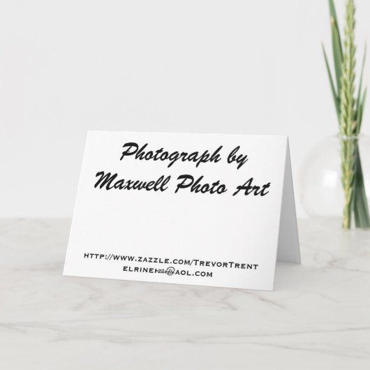 Doe Lunch! Kaart (Achterkant)