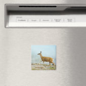 Doe-magneet Magneet (Insitu (Vaatwasser))