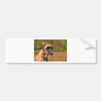 Doe mee aan de bossen bumpersticker