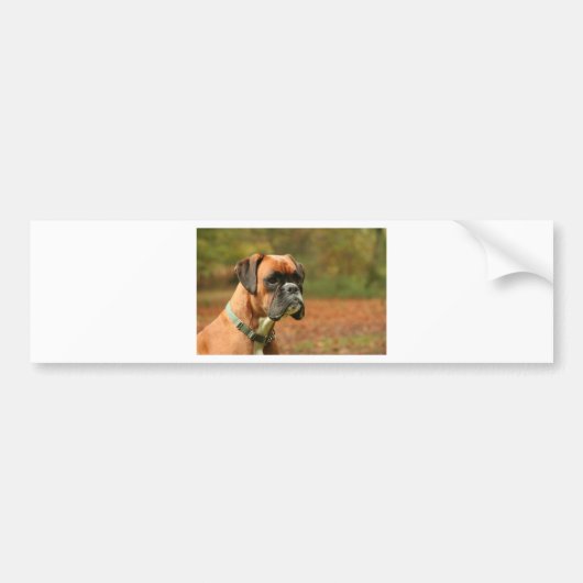 Doe mee aan de bossen bumpersticker (Voorkant)