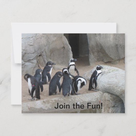 Doe mee met uitnodiging van Pinguins Party (Voorkant)