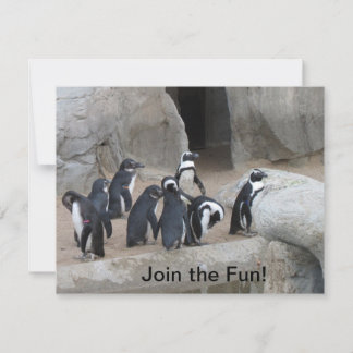 Doe mee met uitnodiging van Pinguins Party