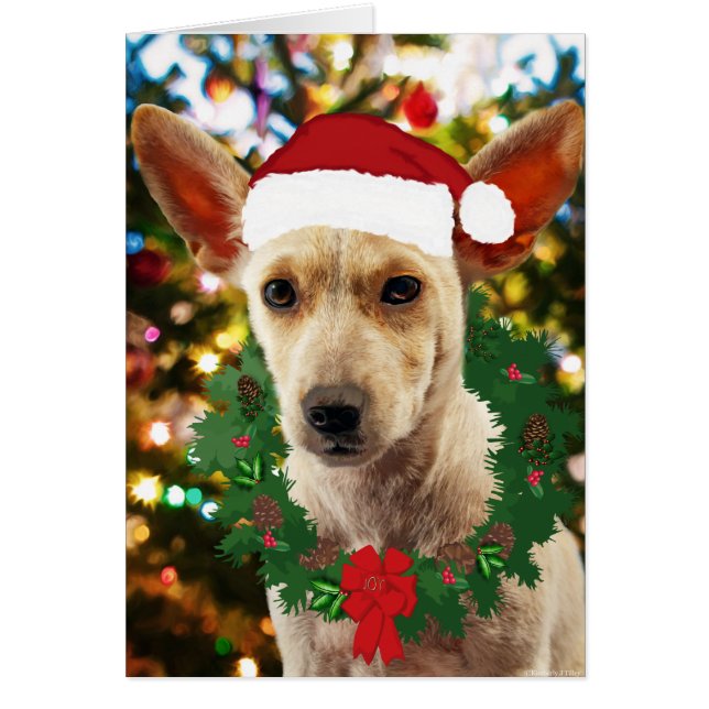 Doe mee naar de Puppy (Voorkant)