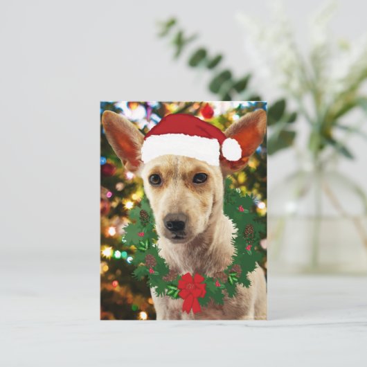 Doe mee naar de Puppy Briefkaart (Staand voorkant)