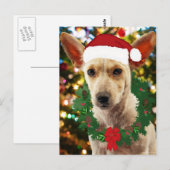 Doe mee naar de Puppy Briefkaart (Voorkant / Achterkant)