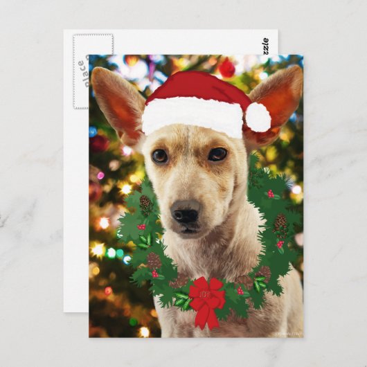 Doe mee naar de Puppy Briefkaart (Voorkant / Achterkant)