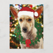 Doe mee naar de Puppy Briefkaart (Voorkant)