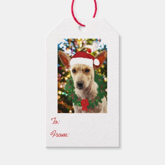 Doe mee naar de Puppy Cadeaulabel (Voorkant)