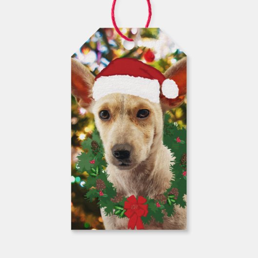 Doe mee naar de Puppy Cadeaulabel (Achterkant)