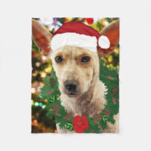 Doe mee naar de Puppy