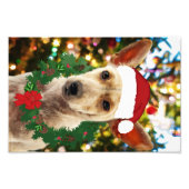 Doe mee naar de Puppy Foto Afdruk (Voorkant)