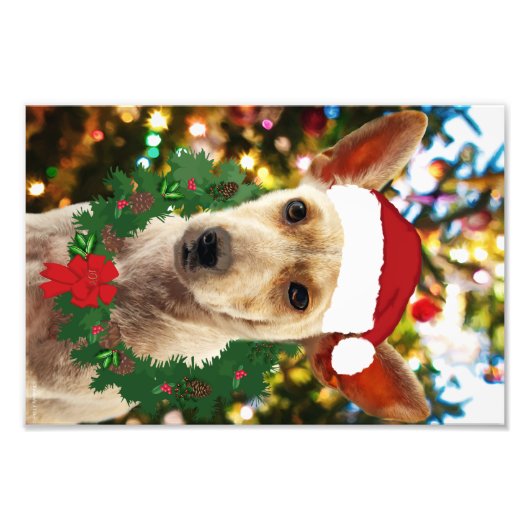 Doe mee naar de Puppy Foto Afdruk (Voorkant)