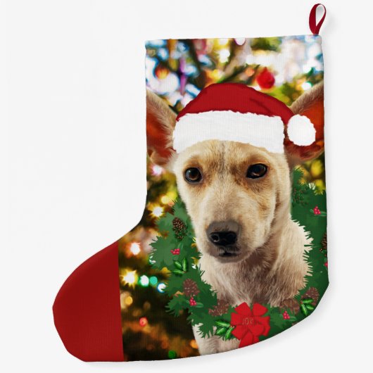 Doe mee naar de Puppy Grote Kerstsok (Achterkant)