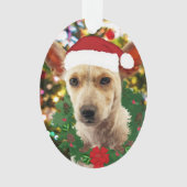 Doe mee naar de Puppy Ornament (voorkant)