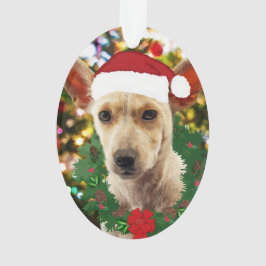Doe mee naar de Puppy Ornament