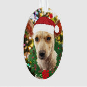 Doe mee naar de Puppy Ornament (voorkant)