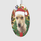 Doe mee naar de Puppy Ornament (voorkant)