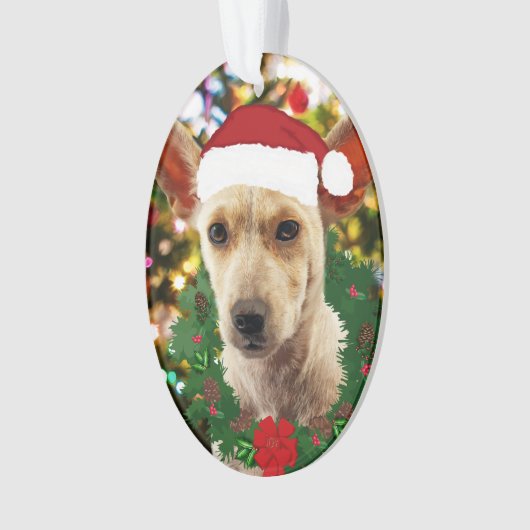 Doe mee naar de Puppy Ornament (voorkant)