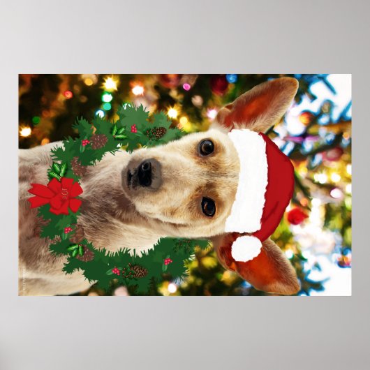 Doe mee naar de Puppy Poster (Voorkant)