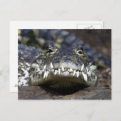 Doe mee voor het diner briefkaart (Voorkant / Achterkant)