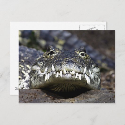 Doe mee voor het diner briefkaart (Voorkant / Achterkant)