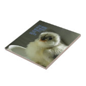 Doe meer van wat je een gelukkige keuze maakt tegeltje (Zijkant)