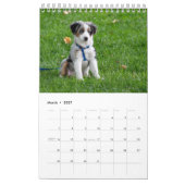 Doe mijn hond Afbeeldingen elke maand wit Kalender (Mar 2027)