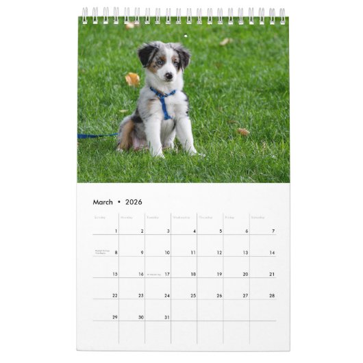 Doe mijn hond Afbeeldingen elke maand wit Kalender (Mar 2026)
