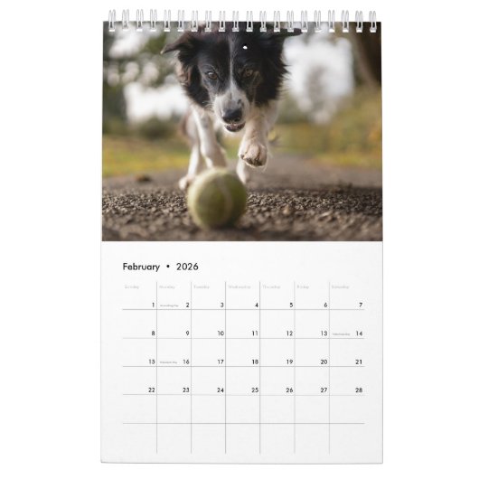 Doe mijn hond Afbeeldingen elke maand wit Kalender (Feb 2026)