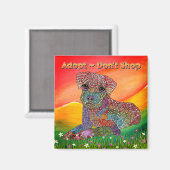 Doe niet op zoek naar Dog Awareness Magnet (Voorkant / Achterkant)