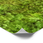 Doe Vrouw Deer en Fawn op Grass Wildlife Foto Poster (Hoek)