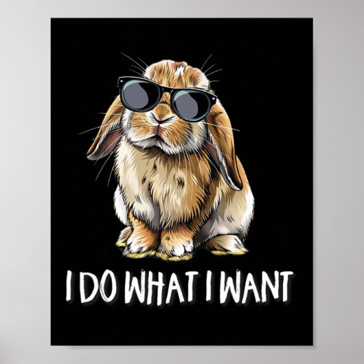 Doe wat ik wil Mini Holland Lop Bunny Rabbit Lover Poster (Voorkant)