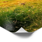 doedelzak in Schotland, AI-gegenereerd, Perfect Poster (Hoek)