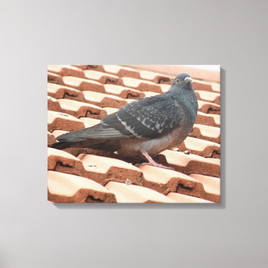 Doekprint met dakduif canvas afdruk (Voorkant)