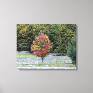 DOEKWRAP-PRINT/MEERKLEURIGE BOOM IN VELD CANVAS AFDRUK