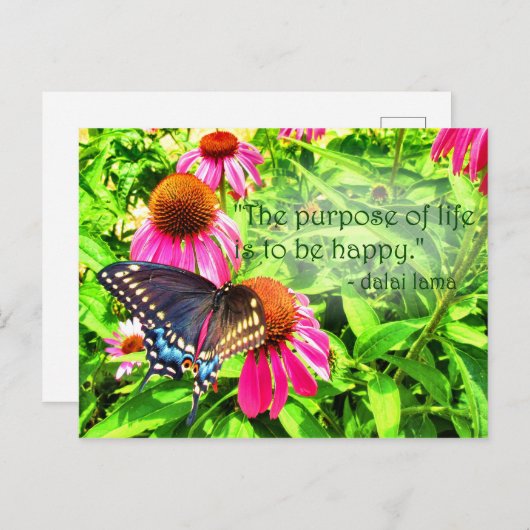 Doel van het leven Happy Black Swallowtail Butterf Briefkaart (Voorkant / Achterkant)