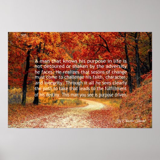 Doelgericht Poster (Voorkant)