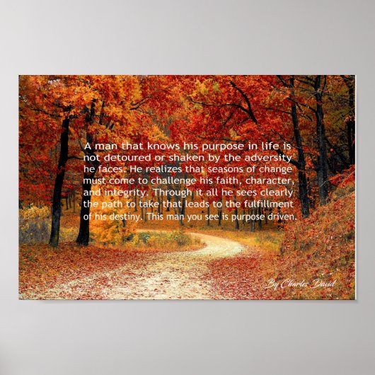 Doelgericht Poster (Voorkant)