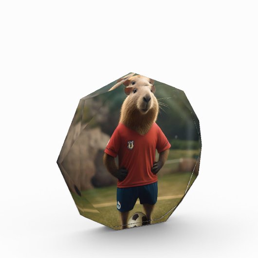 Doelpuntenmaker Capybara: de ultieme voetbalster! Fotoblokken (Links)