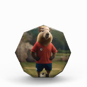 Doelpuntenmaker Capybara: de ultieme voetbalster! Fotoblokken (Voorkant)