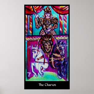 DOELSTELLINGEN VAN DE VERLORENDE SCHADEN VAN DE we Poster