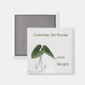 Doelstellingen van minder gewicht magneet (Voorkant / Achterkant)